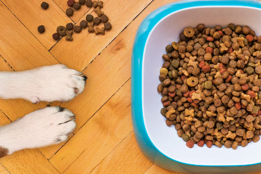 How Pet Food Pantry Helps Pets & Owners & How Your Brand Can Contribute