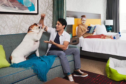 Hilton’s Extended Stay Hotels To Become Pet-Friendly By 2022