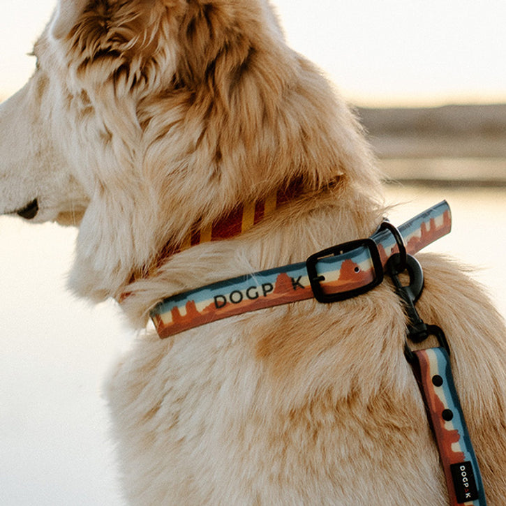 Weatherproof Dog Collars