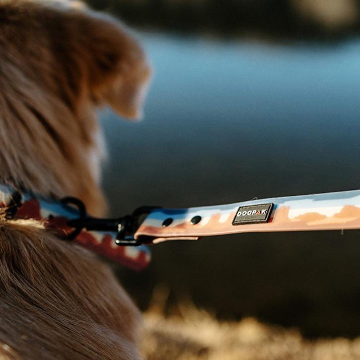 Weatherproof Dog Leashes