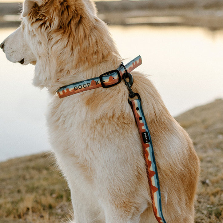 Weatherproof Dog Leashes