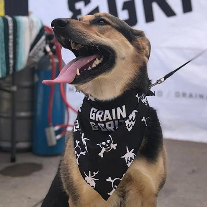 The K9 Kerchief: Customizable Branded Dog Bandanas