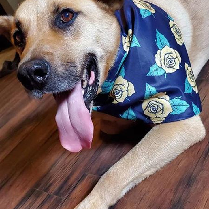 The K9 Kerchief: Customizable Branded Dog Bandanas