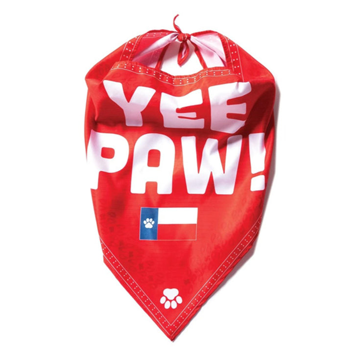 The K9 Kerchief: Customizable Branded Dog Bandanas