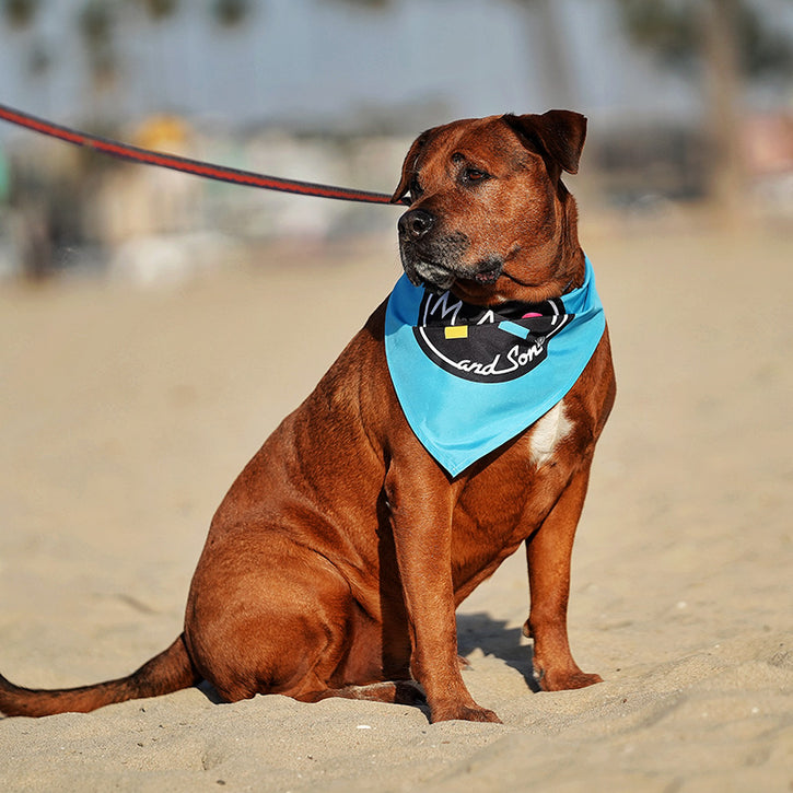 The K9 Kerchief: Customizable Branded Dog Bandanas