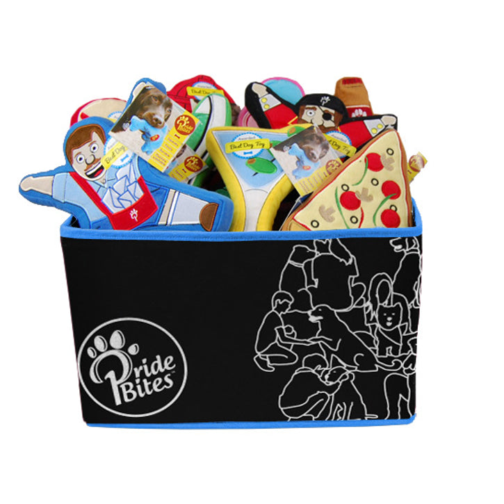 Dog Toy Baskets to Keep Your Home "Spot"-less