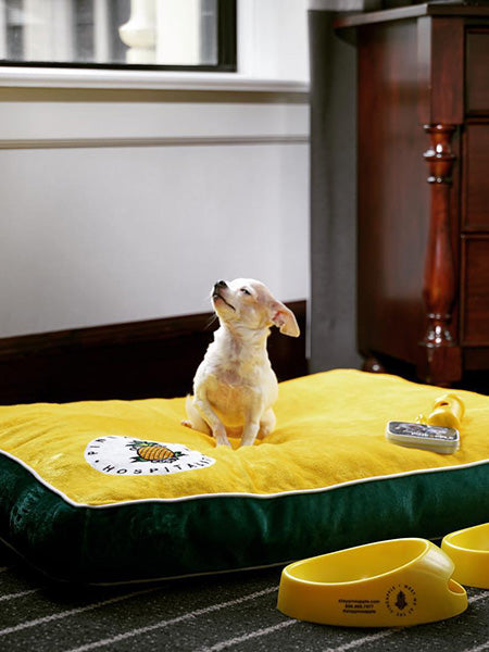 Customizable Dog Beds: Sit. Stay. Snooze.
