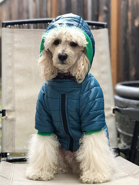 Bark in the Parka: Customizable Dog Winter Coats