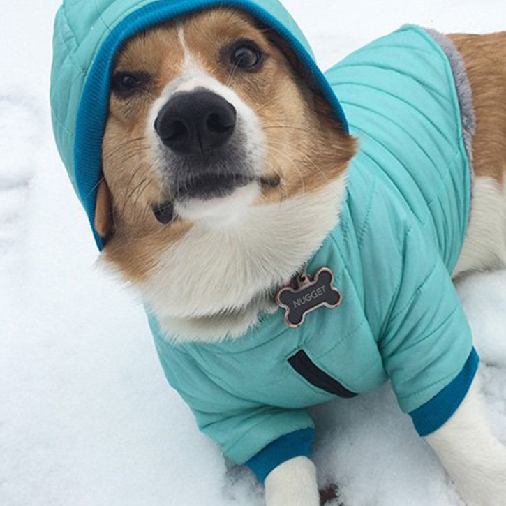 Bark in the Parka: Customizable Dog Winter Coats