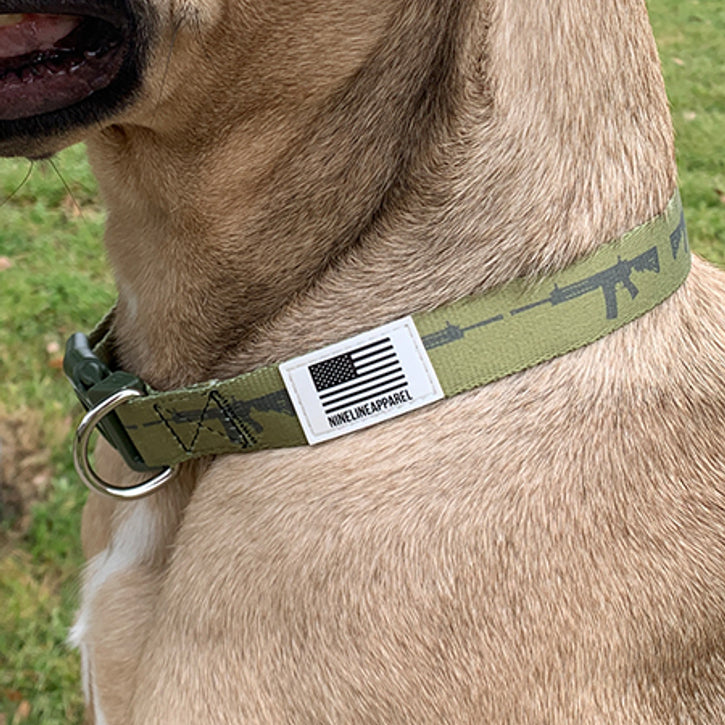 The Eco Friendly Dog Collar