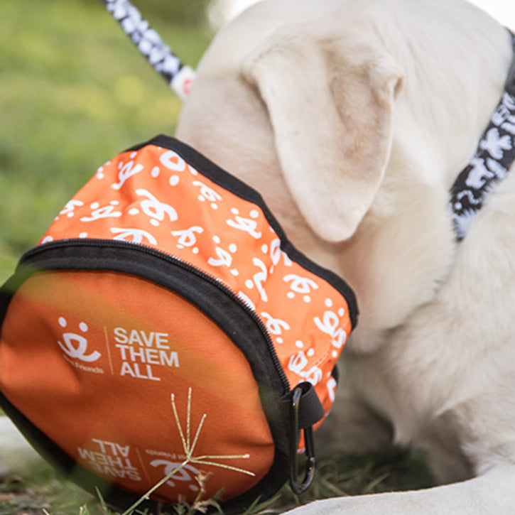 The Eco Friendly Foldable Travel Dog Bowls