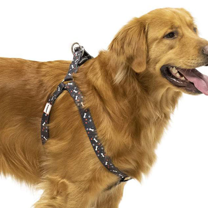 Step In Dog Harnesses For Safer Walks