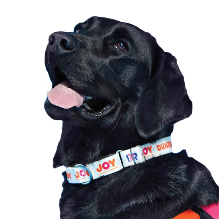 Martingale Collars: The Limited-Slip Dog Collars