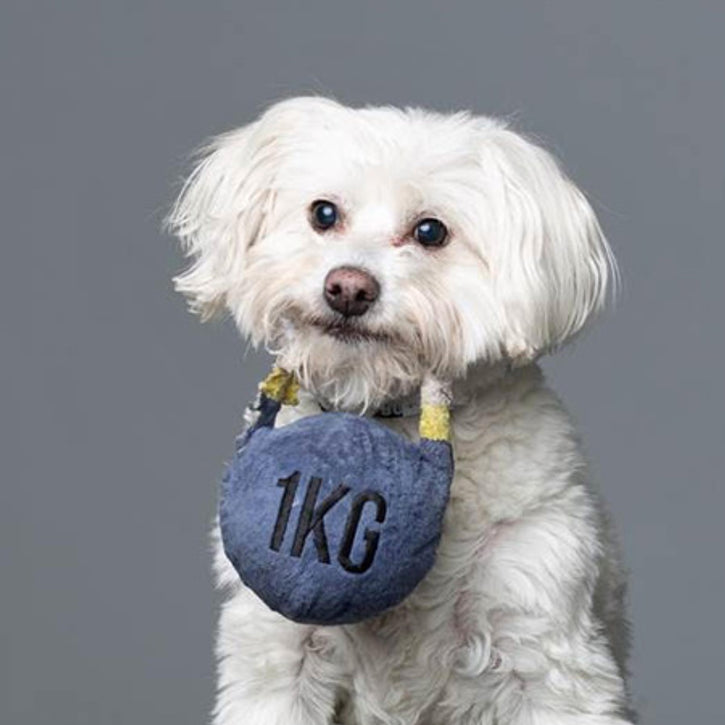 Customizable Plush Dog Toys