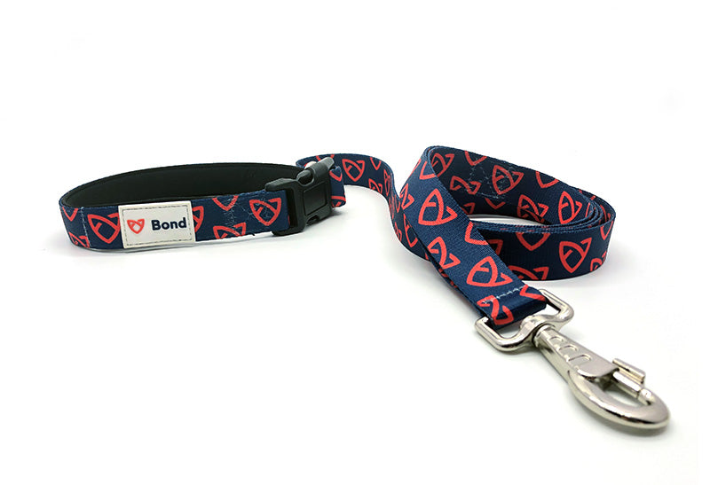 Custom dog leashes best sale