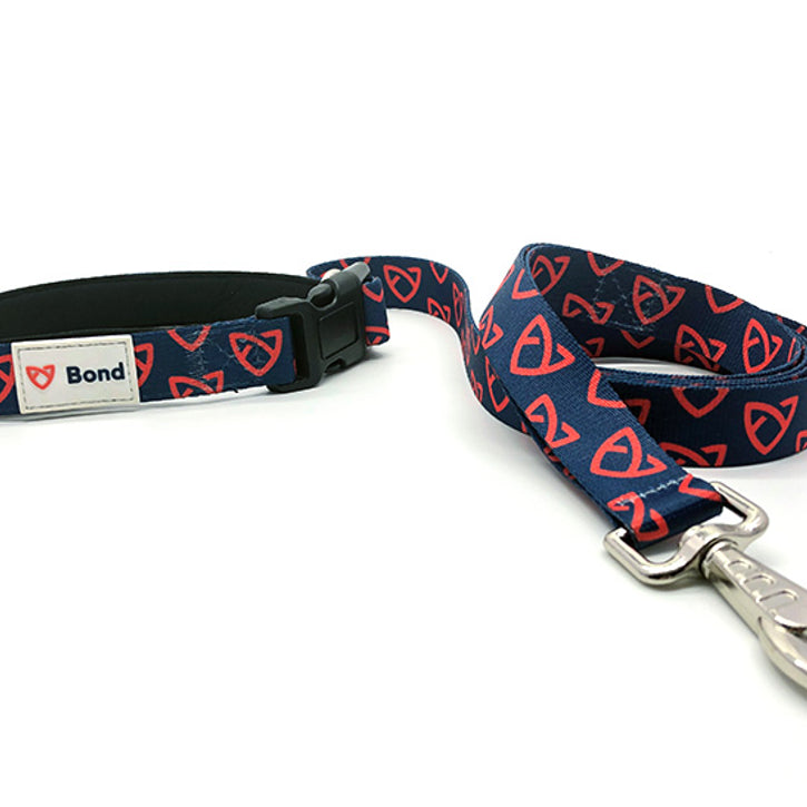 Born To Run: Customizable Dog Running Leashes