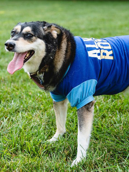 Comfortable Summer Breathable Outfit Apparel Dog Shirt Dogs Cat NFL  Football Jersey T Shirts Print Soft Pet Clothes - China Pet Clothes and Dog  Clothing price