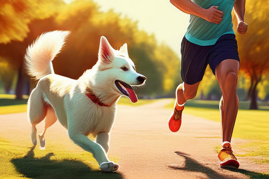 How to Create a Fitness Plan That Works for You and Your Dog