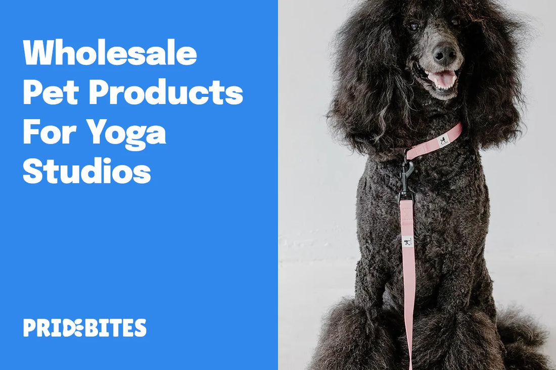 Wholesale Pet Products For Yoga Studios