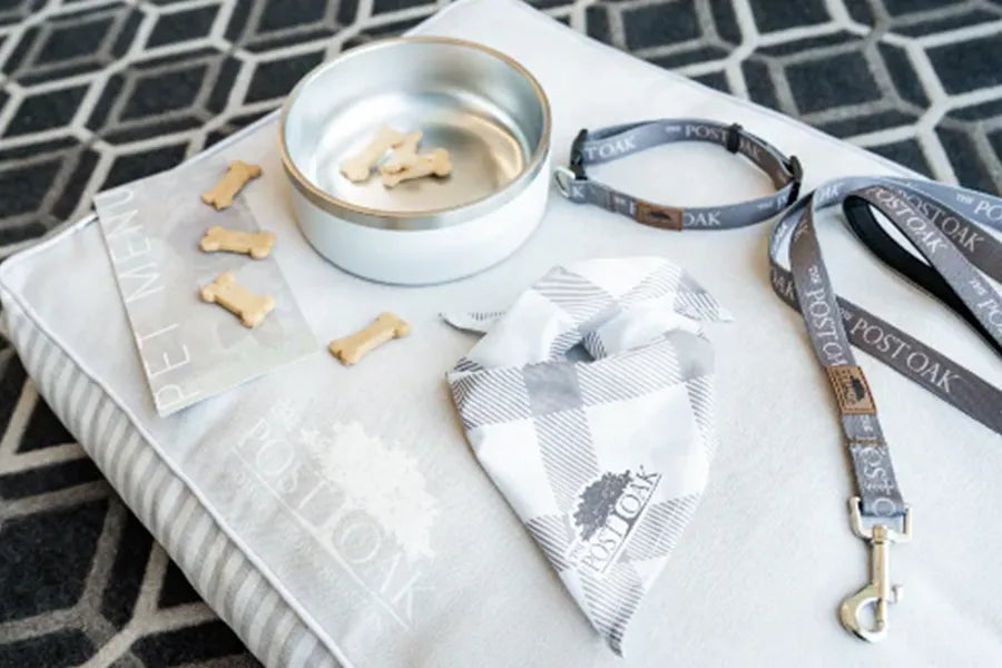 Bring Your Brand into the Pet World