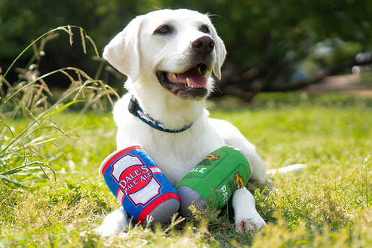 The Best Beer Inspired Dog Toys