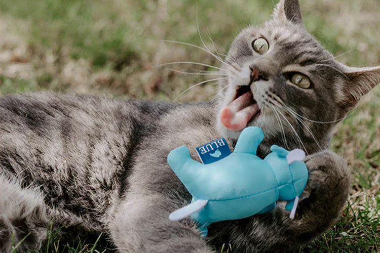 Why plush toys for cats are essential for every feline home