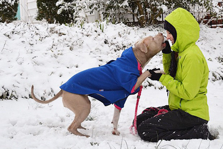5 Pet Products For Colder Weather