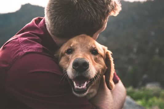 Pandemic Strengthened Pet Parent Bond With Pets