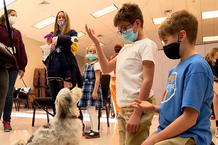 Kids Comforted By Therapy Dogs During COVID-19 Vaccinations