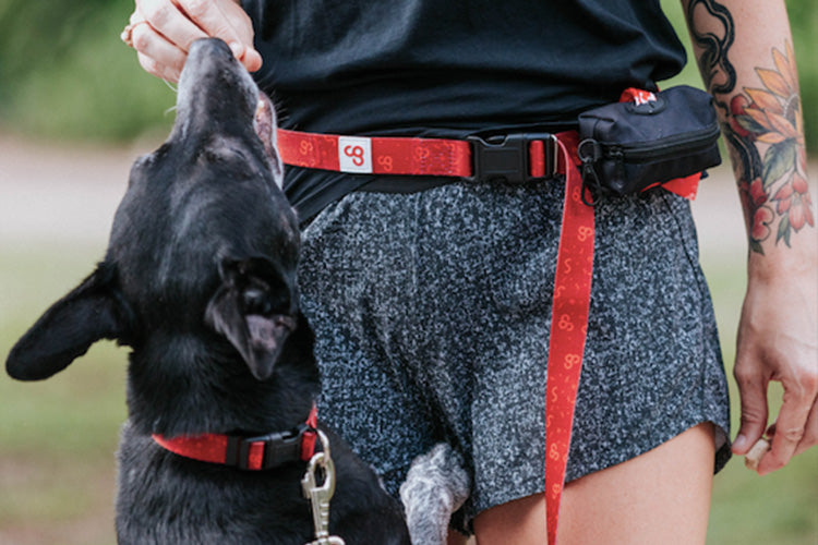 How To Include Your Pup In Your Workouts