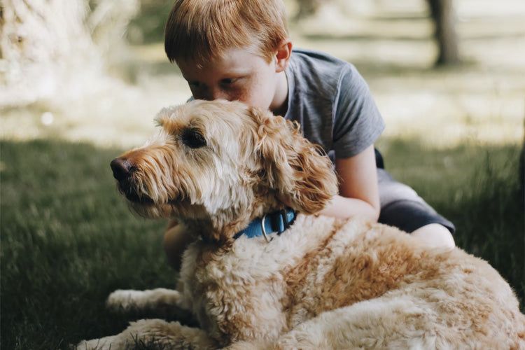 How to Teach Your Kids About Pet Care