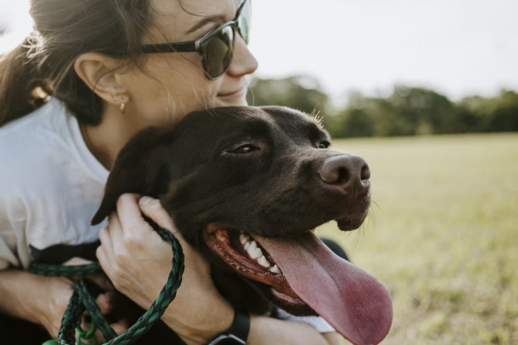 95% Of All Pet Parents Consider Pets Family