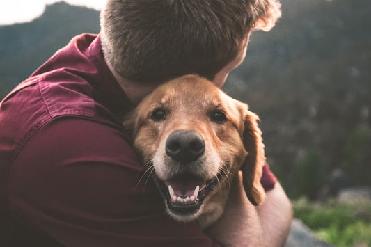 Dogs 'Share' Their Pet Parents' Emotions