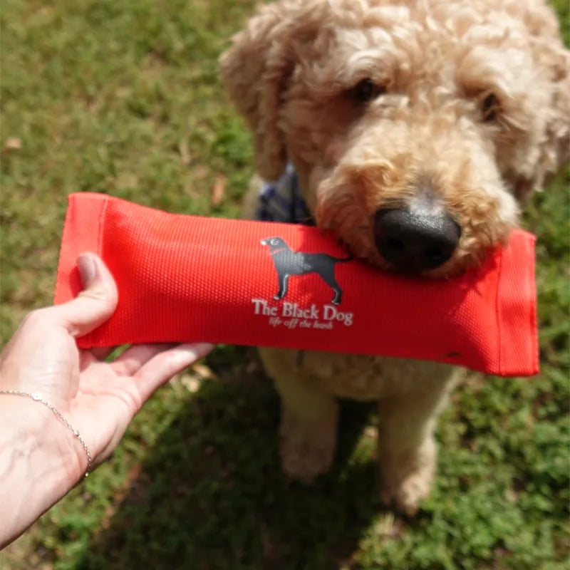 Custom Pet Merchandise: The Smartest Brand Move You Haven't Made Yet