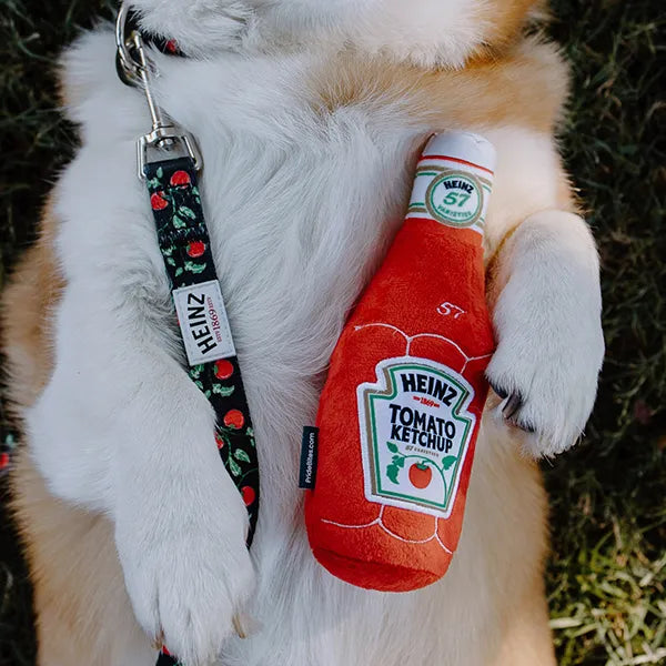 Heinz
