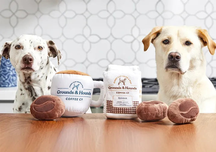 From Concept to Creation: Custom Pet Products