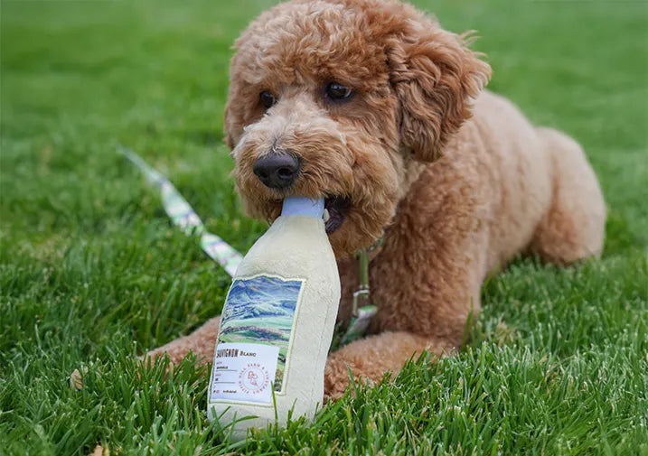 Bring Your Brand to the Dog Park with Custom Pet Toys