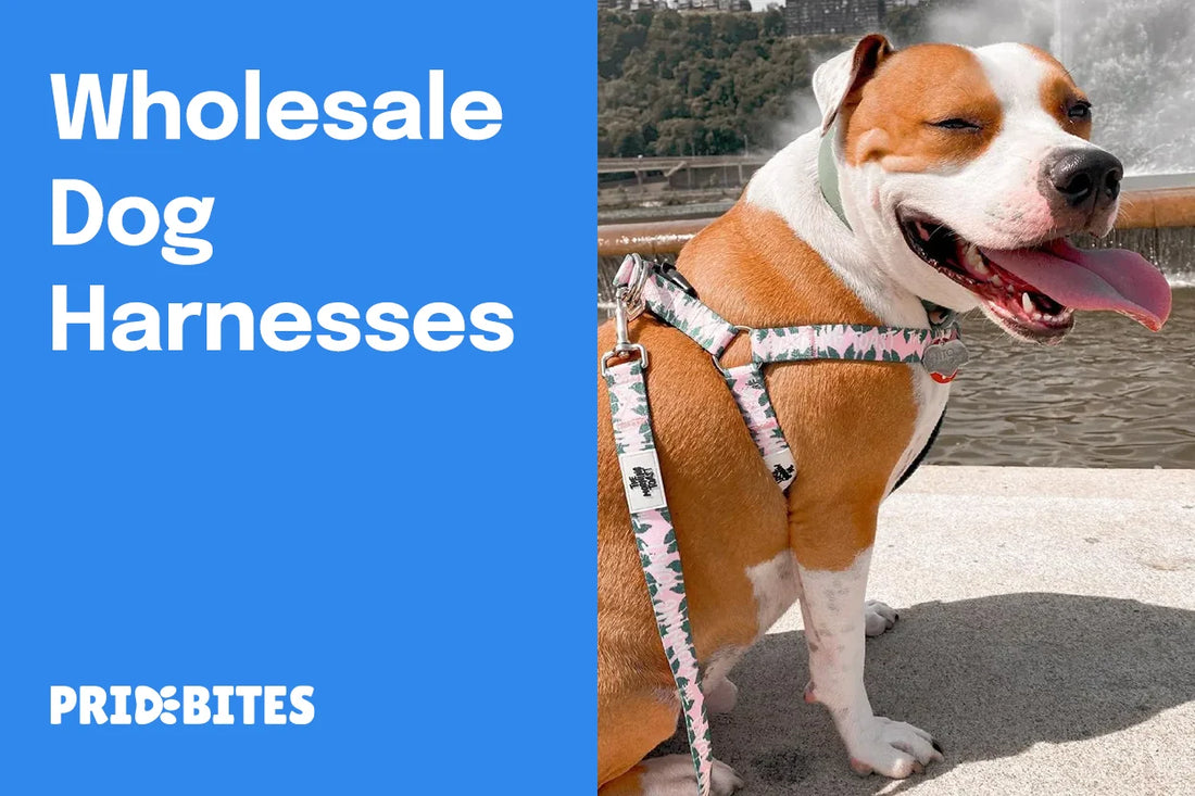 Wholesale Dog Harnesses