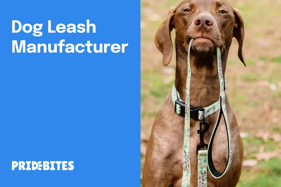 Dog Leash Manufacturer