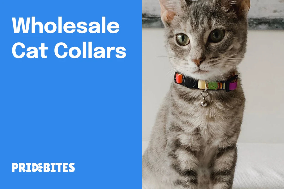 Wholesale Cat Collars