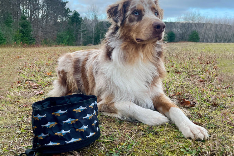 Iron Fish Distillery