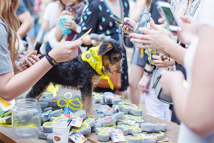 Why Your Business Needs Branded Pet Merch