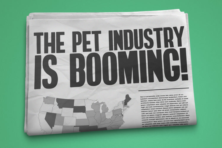 How To Cash In On The Lucrative Pet Products & Services Market