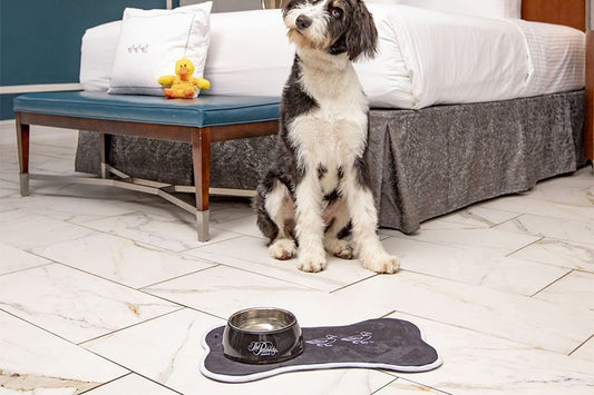 5 Housewarming Gift Ideas for Pet Parents