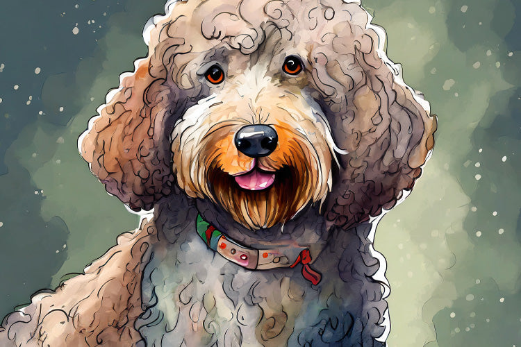 5 Tips for Maintaining a Dog’s Curly Coat