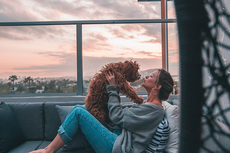 Five Ways to Deepen Your Bond with Your New Dog