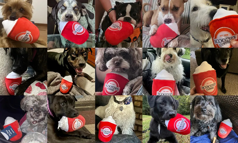 Safe, Soft and Branded: The Ultimate Guide to Custom Puppy Toys