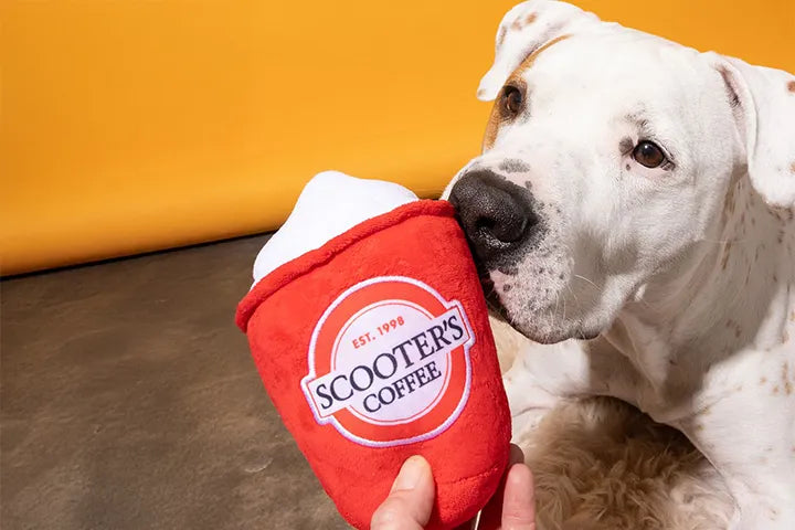 Scooter's Coffee