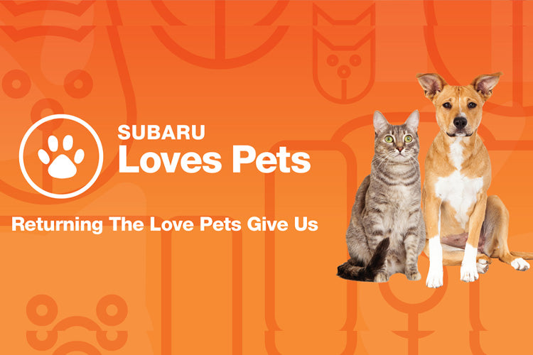 Subaru And Philadelphia Union Holding Dog Adoption Fair