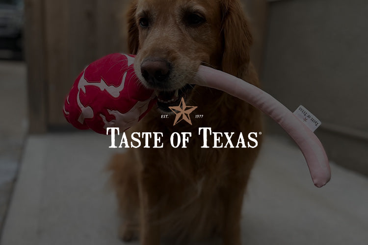 We created a unique Plush Toy for Taste of Texas